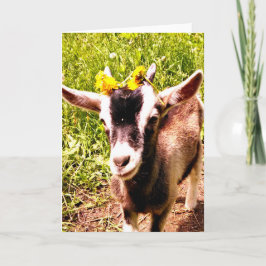 Babyziege mit Blume - Blankokarte Karte