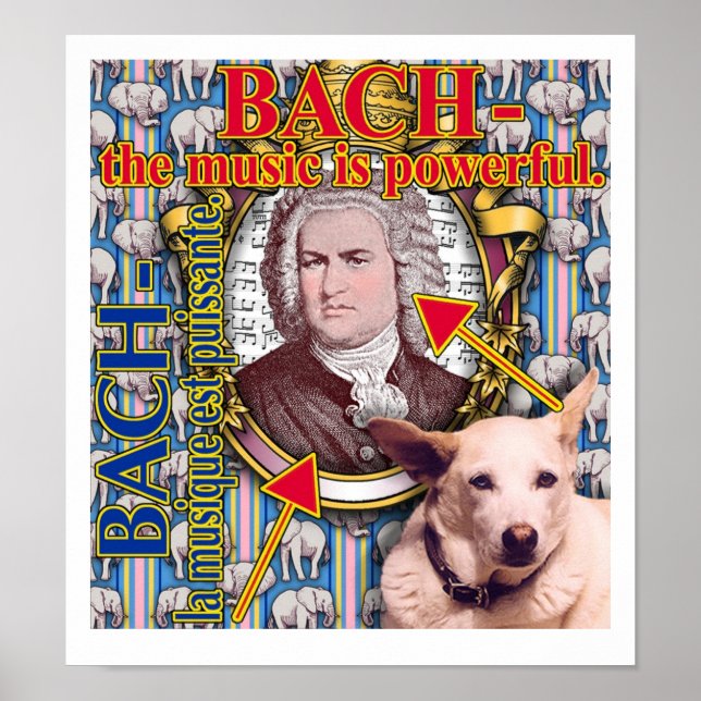 BACH - die Musik ist mächtig. Poster (Vorne)