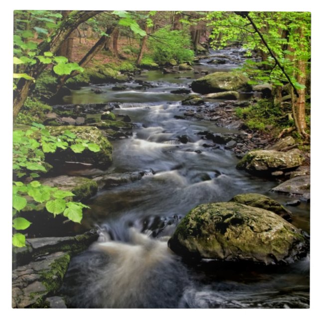 Bach fließt durch den Wald Fliese (Vorderseite)