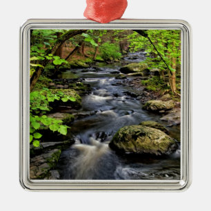 Bach fließt durch den Wald Silbernes Ornament