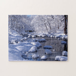 Bach im Winter Foto;