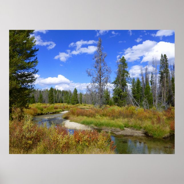 Bach in der Nähe von Redfish Lake, Idaho. Poster (Vorne)