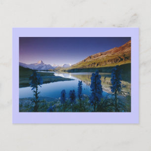 Bachalpsee Berne Postkarte