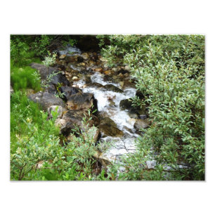 Bachbrasse-Foto Fotodruck