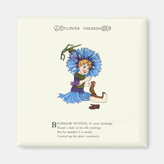 Bachelor Button Magnet (Vorne)