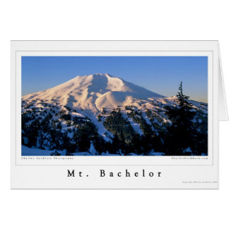 Bachelor Daybreak