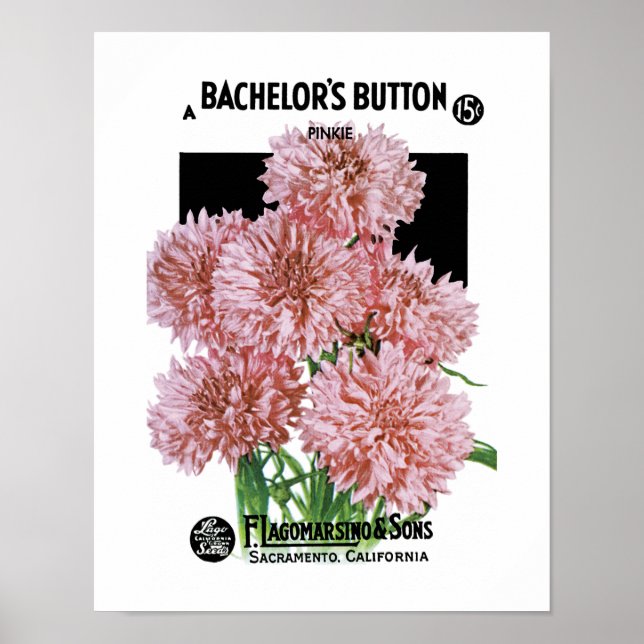 Bachelor-Schaltflächen Etikett für Saatpackungen Poster (Vorne)
