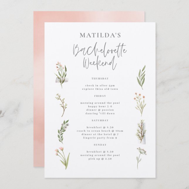 Bacheloretto Bacheloretto (Vorne/Hinten)