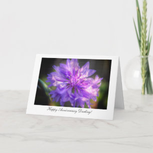 Bachelor's Button Cornflower - Happy Anniversary Karte