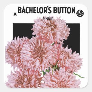 Bachelor's Button Seed Packet Étiquette