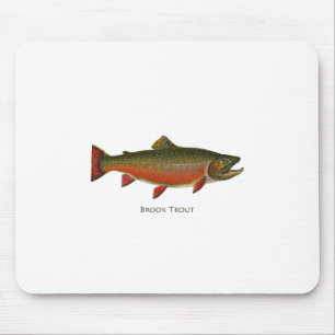 Bachforelle-Mann (Phase laichend) Mousepad