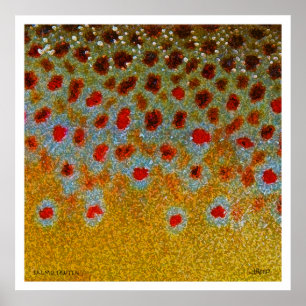 Bachforelle-Plakat Poster