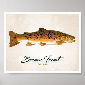 Bachforelle Poster