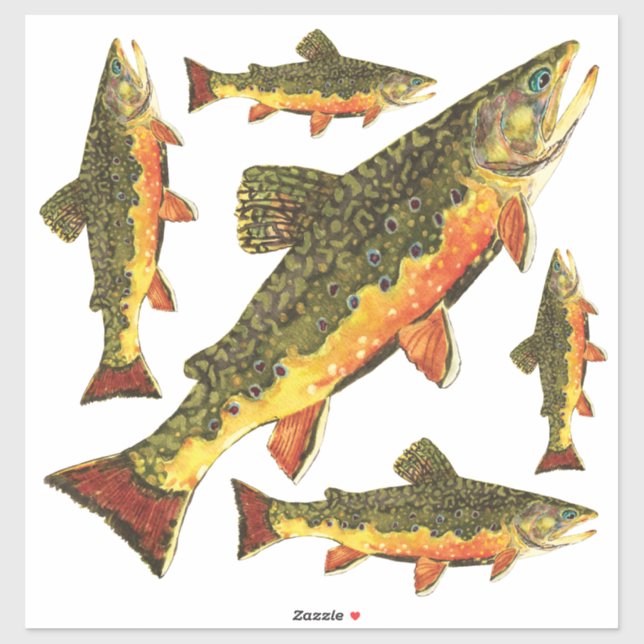 Bachforelle salvelinus fontinalis aufkleber (Blatt)