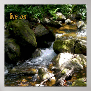 BachliveZenplakat Poster