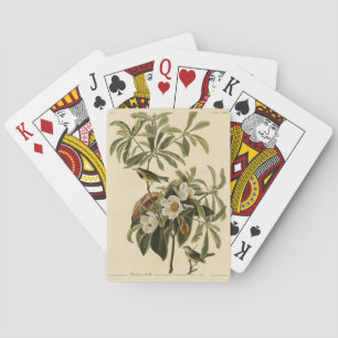 Bachman's Warbler von Audubons Vögeln von Amerika Spielkarten