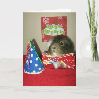 Bacis Geburtstagsparty Karte