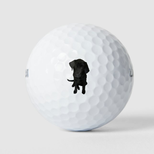 Back Labrador Puppy Golfball (Vorderseite)