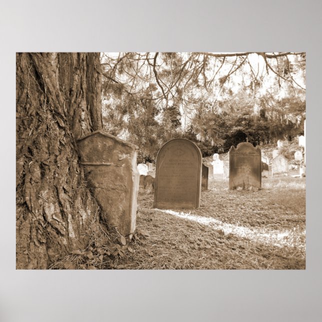Back To Nature - Gravestones and Trees Poster (Vorne)