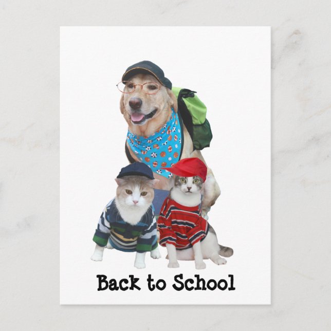 Back to School Postkarte (Vorderseite)