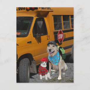 Back to School Postkarte