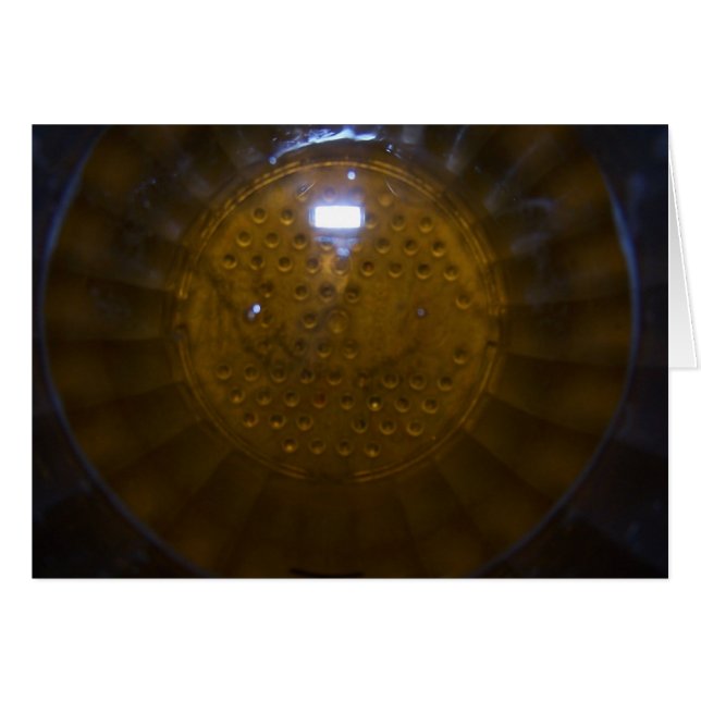 Backbier (Vorderseite (Horizontal))