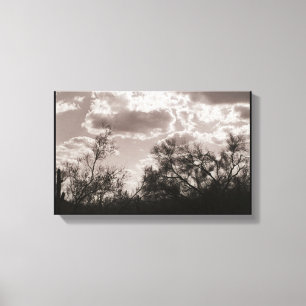 Backlight Leinwand Brush (AZ Sonoran Desert)