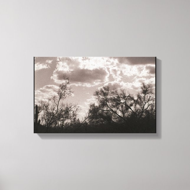 Backlight Leinwand Brush (AZ Sonoran Desert) (Vorderseite)
