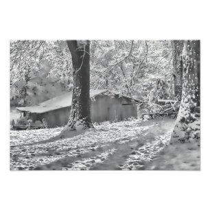Backlit ländliche Schnee-Schwarzweiss-Szene Fotodruck