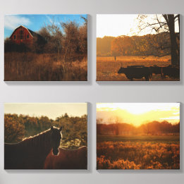 Backroads & Barnwood- Four-Piece Canvas Wall Art  Leinwand Fotofliese