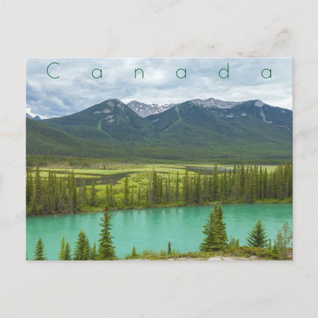 Backsuamp in Banff Postkarte (Vorderseite)