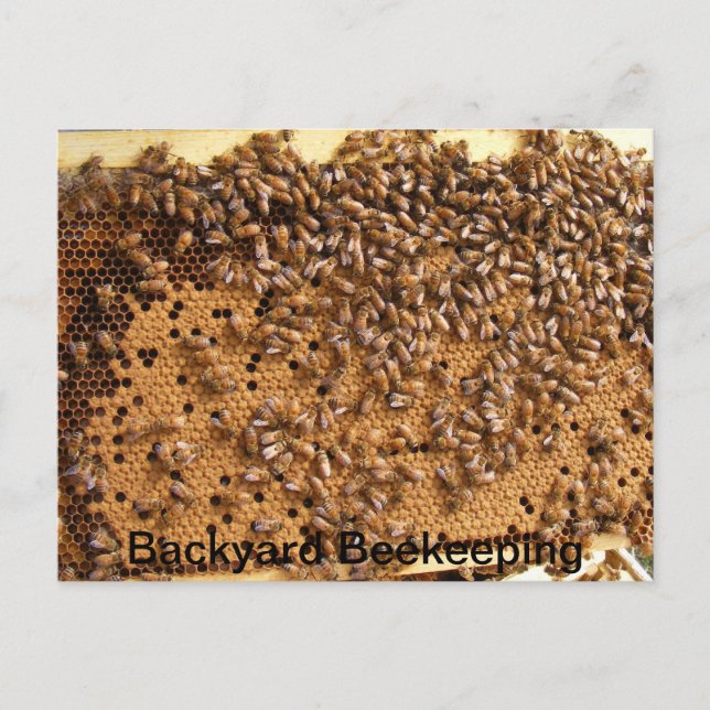 Backyard Beekeping Postkarte (Vorderseite)
