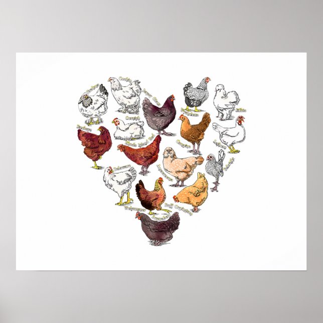 Backyard Chicken Liebe Herz Crazy Hühnerzucht Poster (Vorne)