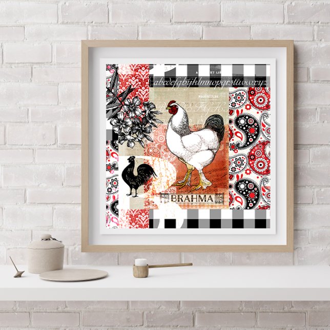 Backyard Chickens B ist für Brahma Poster (Von Creator hochgeladen)