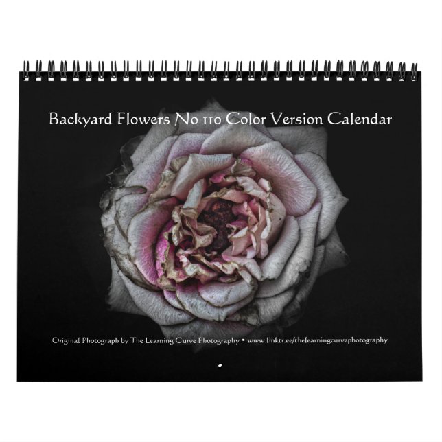 Backyard Flowers No 110 Color Version Kalender (Titelbild)