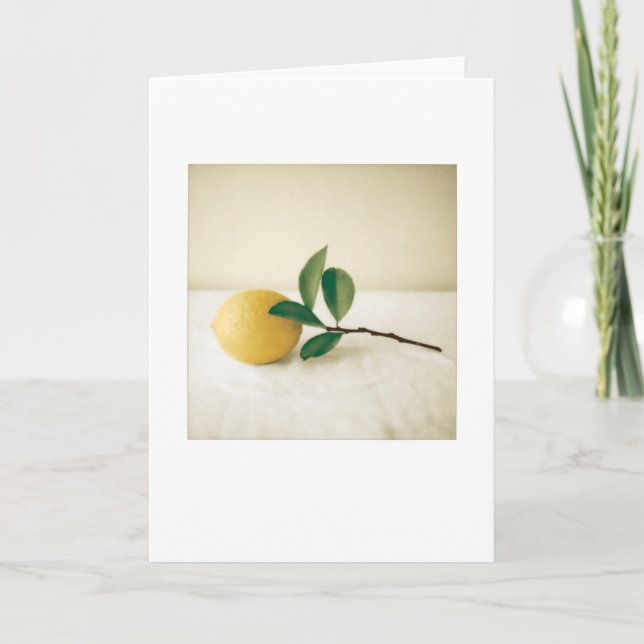 Backyard Meyer Lemon Foto Painting Blank Karte (Vorderseite)