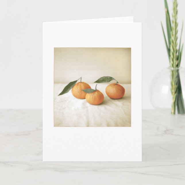 Backyard Satsuma Orange Foto Painting Blank Karte (Vorderseite)