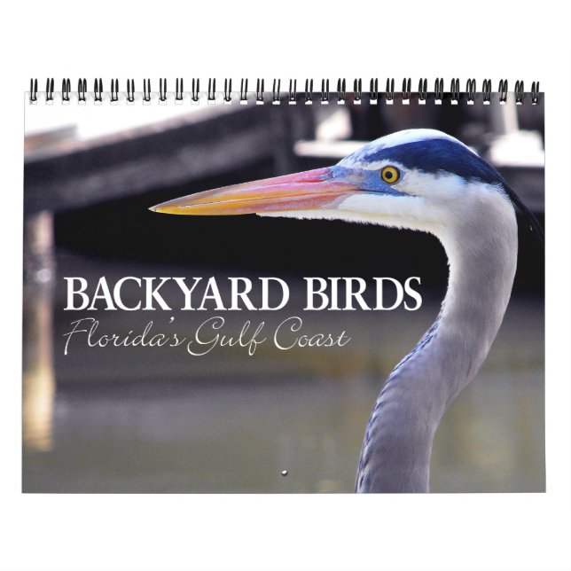 BACKYARD VRRDS KALENDER (Titelbild)