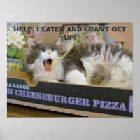 Bacon Cheeseburger Pizza Überdosis Kitty