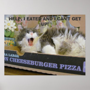 Bacon Cheeseburger Pizza Überdosis Kitty Poster