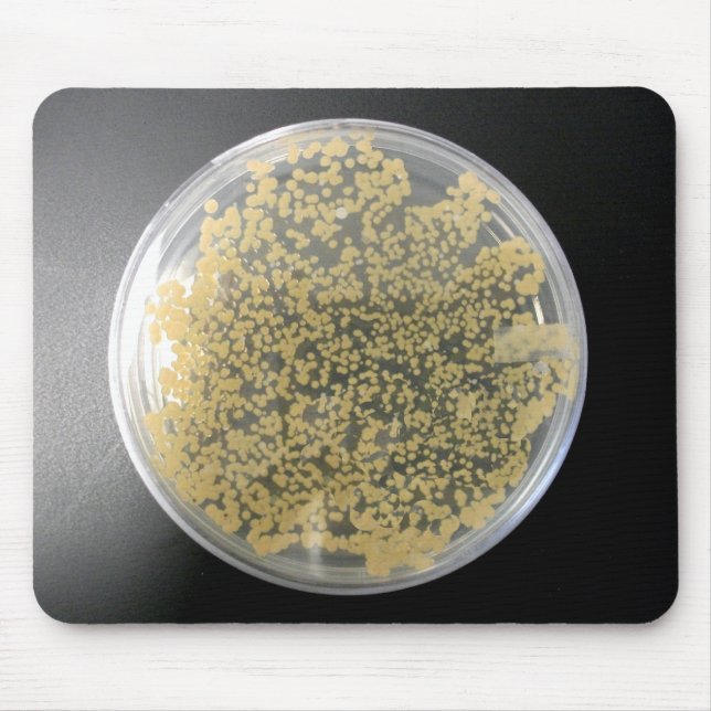 Bacteria Culture Plate Mousepad (Vorne)