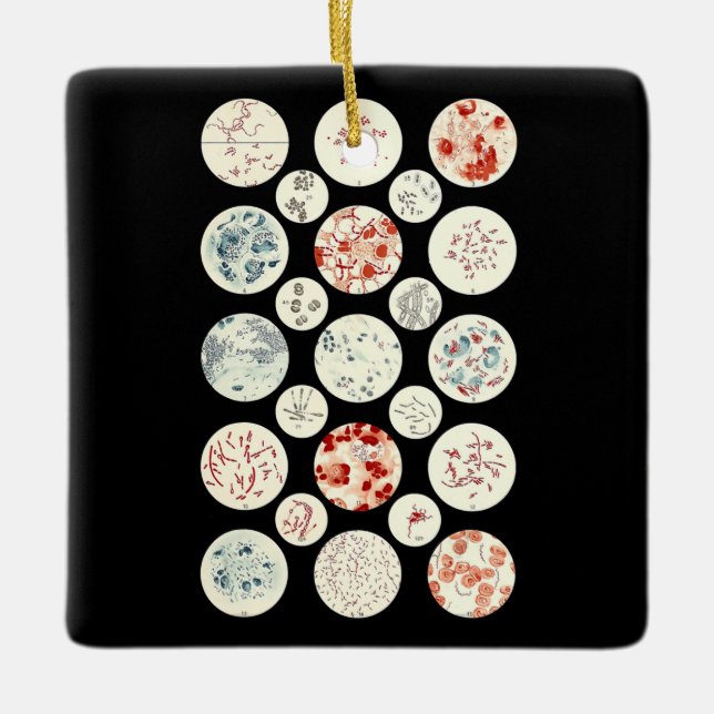 bacteria funny microbiology bacteria science tiny keramikornament (Vorderseite)