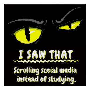 Bad Boogie The Cat Student Sarcastic College Poster