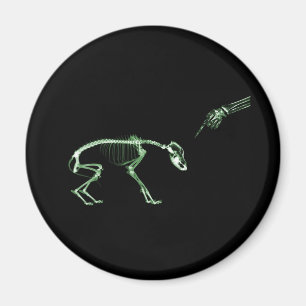 Bad Dog Röntgen-Skelett in Grün Magnet
