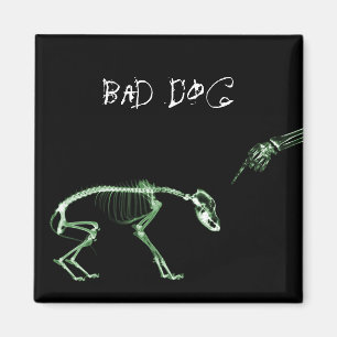 Bad Dog Röntgen-Skelett in Grün Magnet