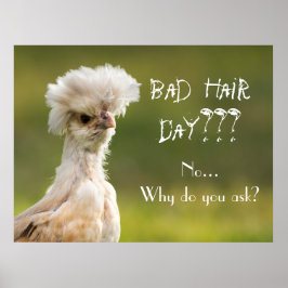 Bad Hair Day Chicken Poster
