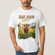 Bad Hair Day-Hochlandrind mit wilder Frisur
