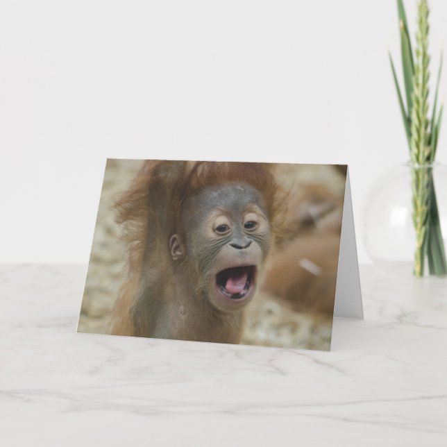 Bad Hair Day Karte (Vorderseite)