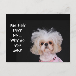 Bad Hair Day? Postkarte