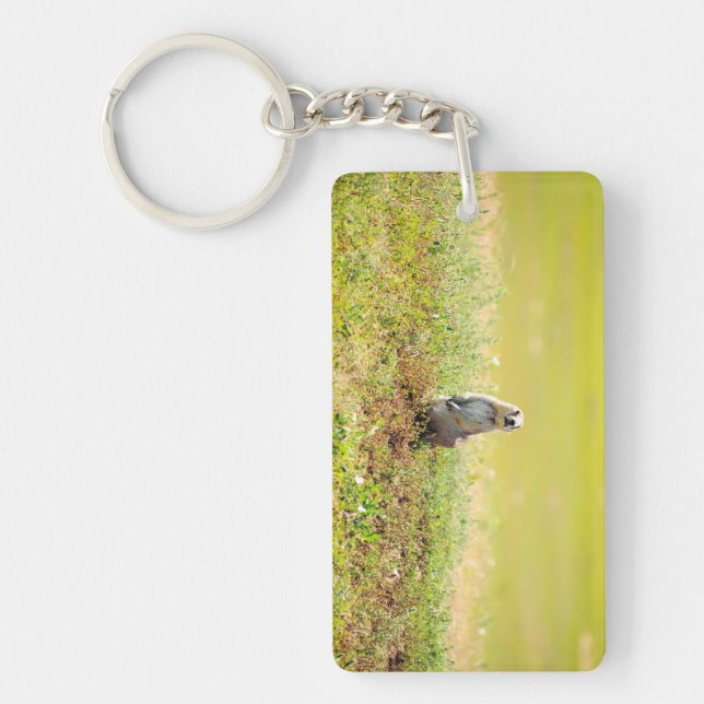 Bad-lands de porte - clé du Dakota du Nord (Devant)